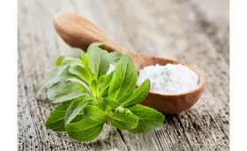 Stevia 