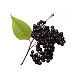 Acai Berry Flavour