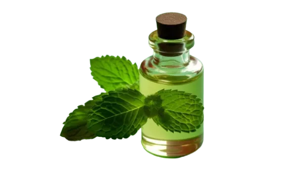 Sweet Flavours Mint Flavour 1 ~blog/2024/1/15/mint_flavour